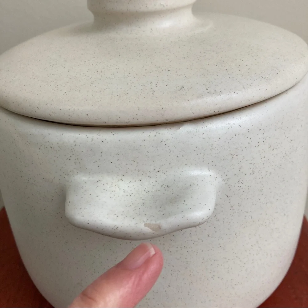 Westbend Cooking Pot